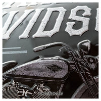 Metāla dekoratīvā plāksne - Harley Davidson