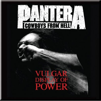 Magnēts: Pantera 'Vulgar'