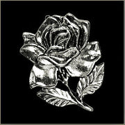 Nozīmīte - Ziedoša Roze